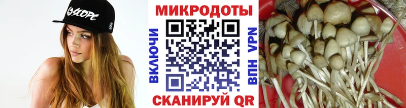Псилоцибиновые грибы мицелий Полысаево