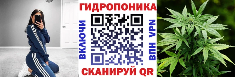 дарнет шоп  Полысаево  Бошки Шишки AK-47 